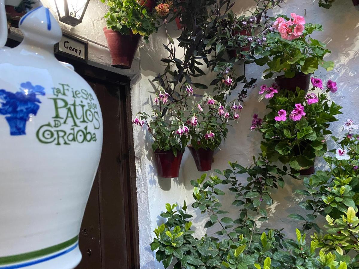 شقة Atico Casa Lola قرطبة المظهر الخارجي الصورة